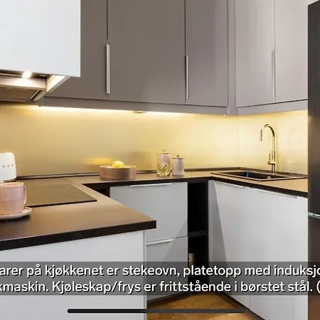 Koselig Bygardsleilighet I Sentrum Apartment