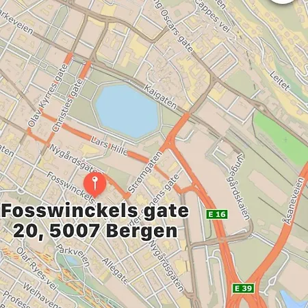 Koselig Bygardsleilighet I Sentrum