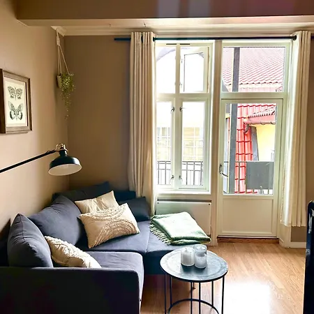 Koselig Bygardsleilighet I Sentrum Apartamento