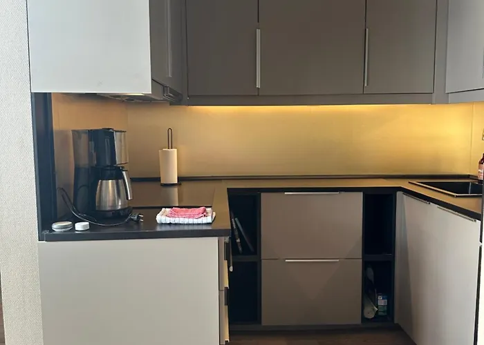 Apartament Koselig Bygardsleilighet I Sentrum